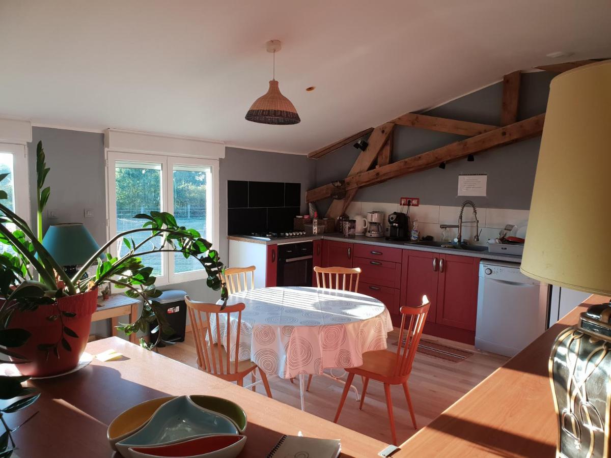 Chambre D'Hote De L'Elevage Du Lattay Les Hauts-d'Anjou 외부 사진